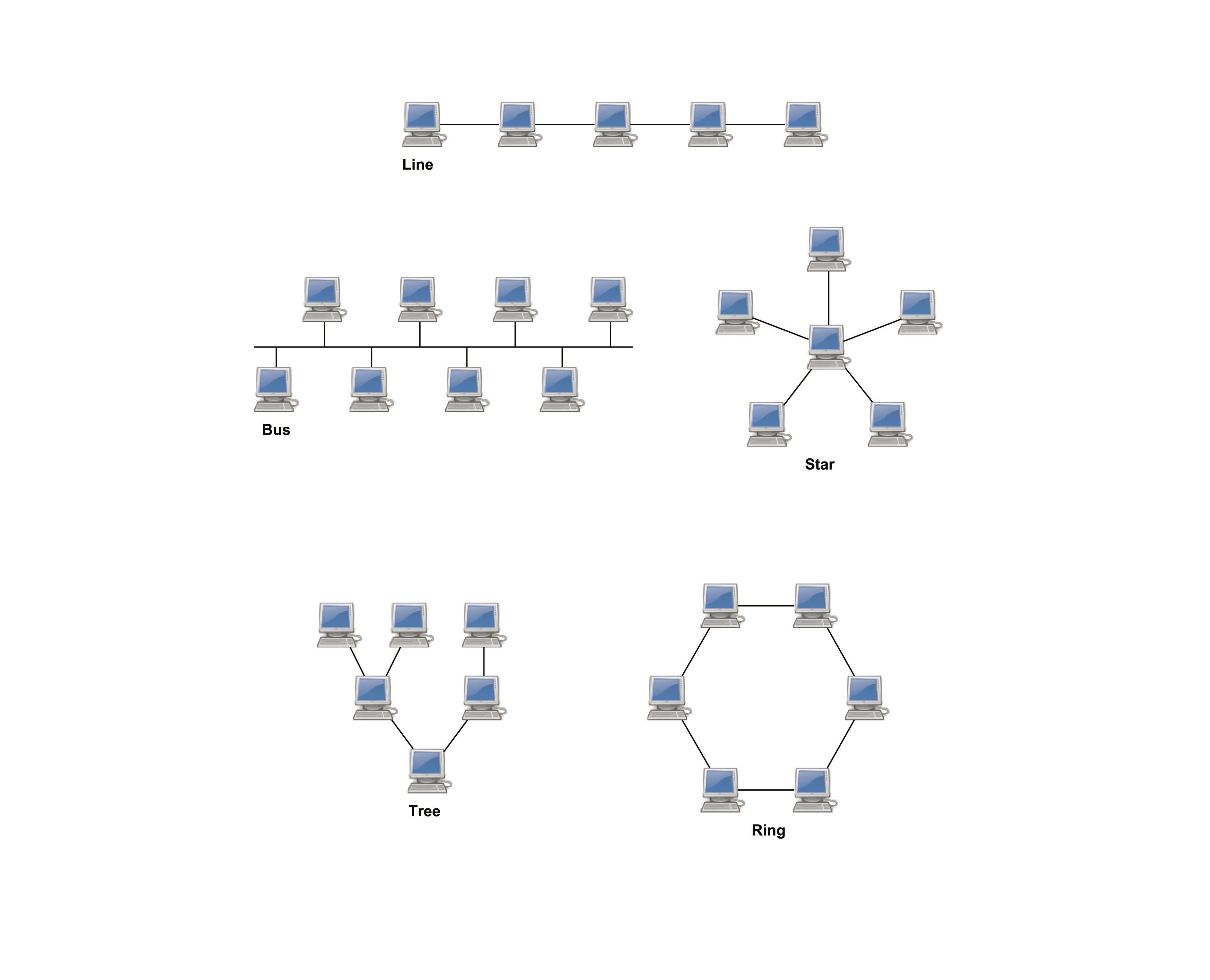 Architecture and topology of networks