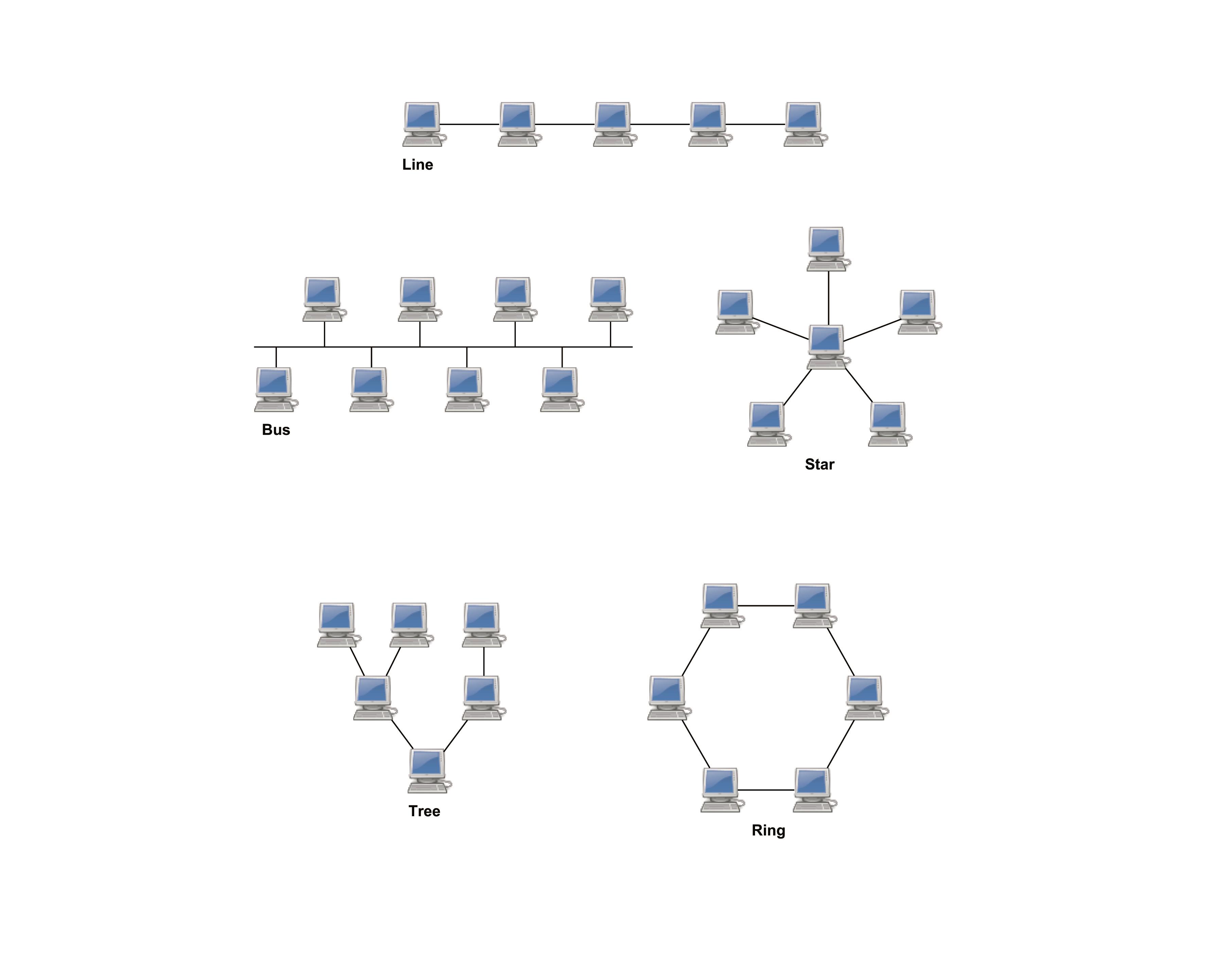 Architecture And Topology Of Networks