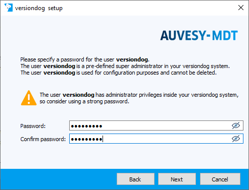 Figure: Installation wizard, entering a password for versiondog